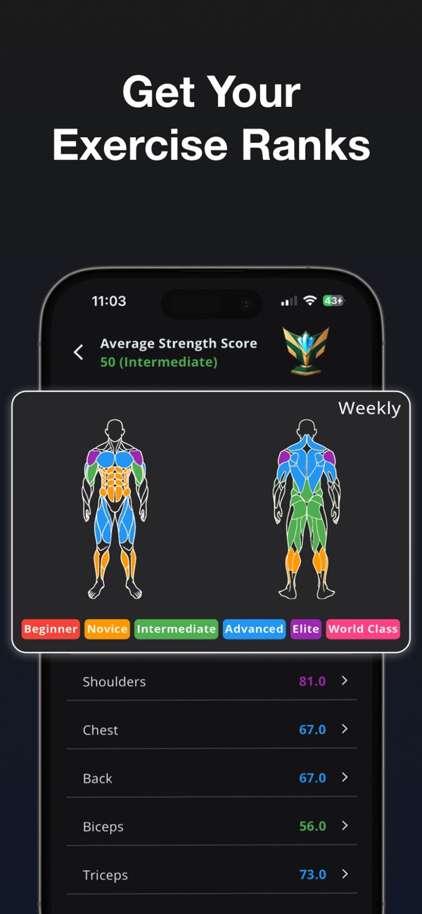 Per-muscle Strength Score ranks from Beginner to World Class in the Stronger app