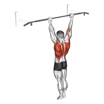 Archer Pull-Up demonstration