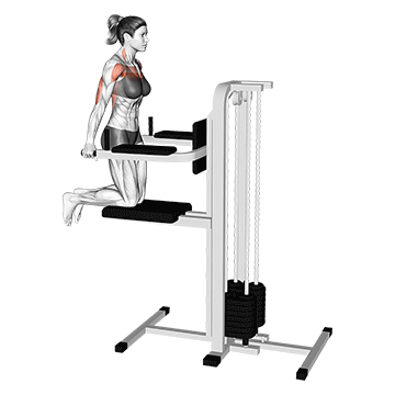 Assisted Dip demonstration