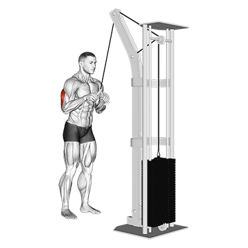 Bar Pushdown demonstration