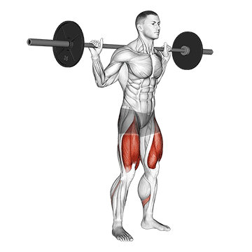Barbell Back Squat demonstration