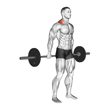 Barbell Behind the Back Shrug demonstration