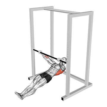 Barbell Inverted Row demonstration
