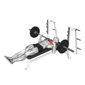 Barbell Larsen Press demonstration