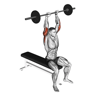 Barbell Overhead Tricep Extension demonstration