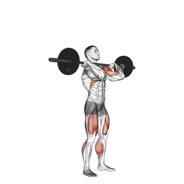 Barbell Push Press demonstration
