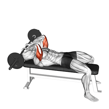 Barbell Skullcrusher demonstration