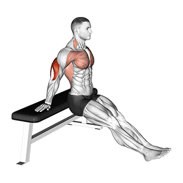 Bench Dip demonstration