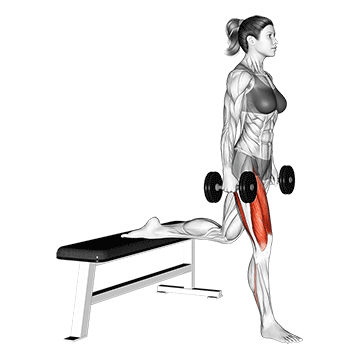 Bulgarian Split Squat demonstration