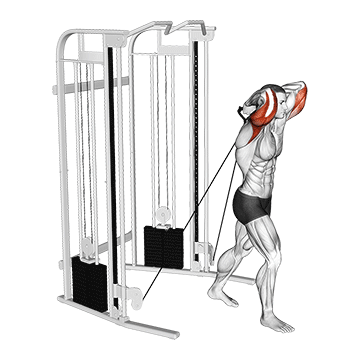 Cable Dual Overhead Tricep Extension demonstration