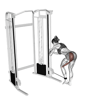 Cable Glute Kickback demonstration