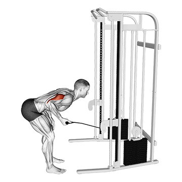 Cable Kickback How To Do It Muscles Worked Tips Stronger Cable Kickback How To Do It Muscles Worked Tips Stronger