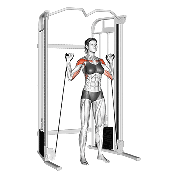 Cable Shoulder Press demonstration