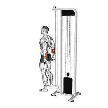 Cable Standing Back Wrist Curl demonstration