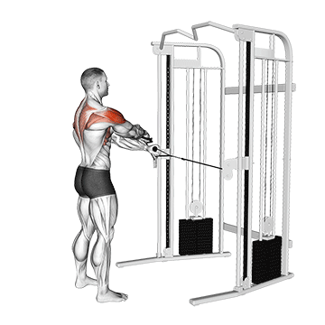 Cable Standing Y Raise demonstration