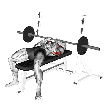 Close-Grip Bench Press demonstration