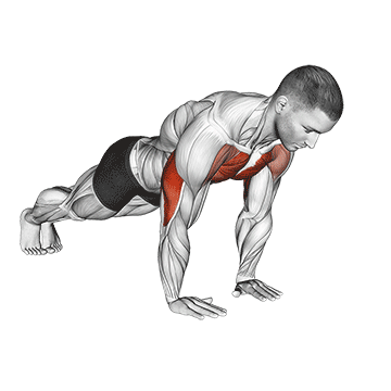 Close Grip Push Up demonstration