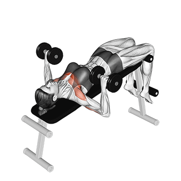 Decline Dumbbell Press demonstration