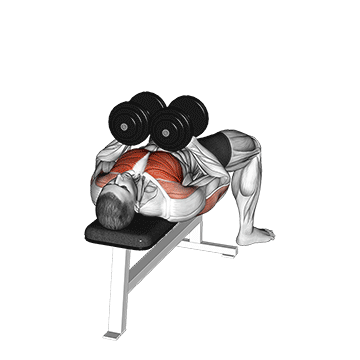 Dumbbell Hex Press demonstration