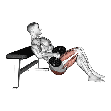 Dumbbell Hip Thrust demonstration