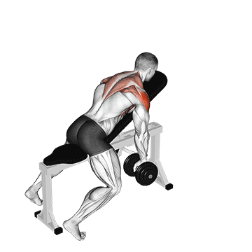 Dumbbell Incline Y Raise demonstration