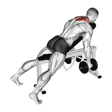 Dumbbell Kelso Shrug demonstration