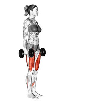 Dumbbell Lunge demonstration