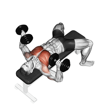 Dumbbell Press demonstration