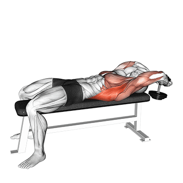 Dumbbell Pullover demonstration