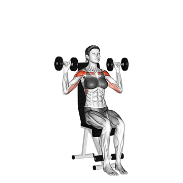 Dumbbell Shoulder Press demonstration