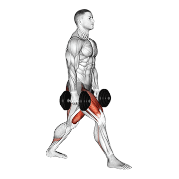 Dumbbell Split Squat demonstration