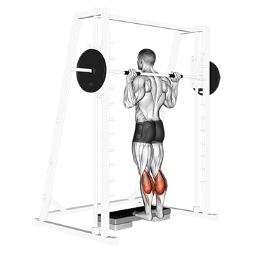 Elevated Smith Machine Calf Raise demonstration