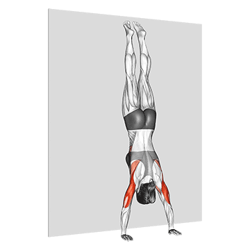 Handstand Push Up demonstration