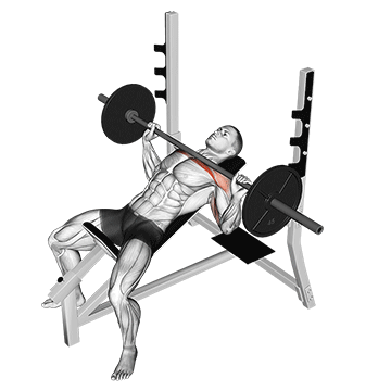 Incline Bench Press demonstration