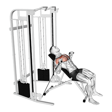 Incline Cable Press demonstration