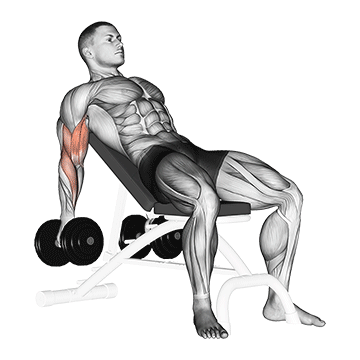 Incline Dumbbell Curl demonstration
