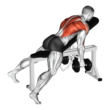 Incline Dumbbell Row demonstration