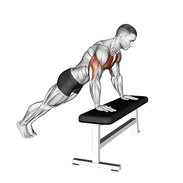 Incline Push Up demonstration