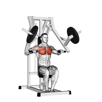 Iso Lateral Chest Press demonstration