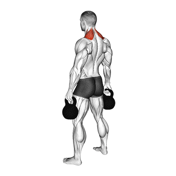 Kettlebell Shrug demonstration