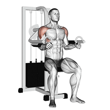 Lateral Raise Machine demonstration