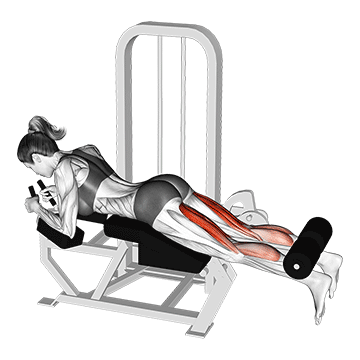 Lying Leg Curl demonstration