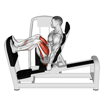 Machine Leg Press demonstration