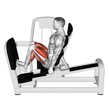 Machine Leg Press Calf Raise demonstration