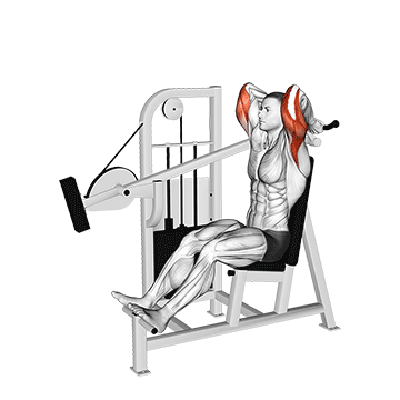 Machine Overhead Tricep Extension demonstration