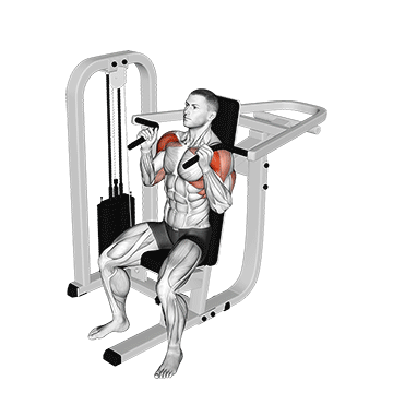 Neutral Grip Machine Shoulder Press demonstration