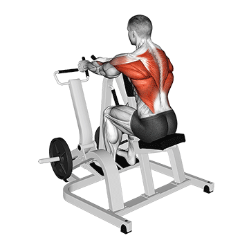 Neutral Grip Seated Machine Row demonstration