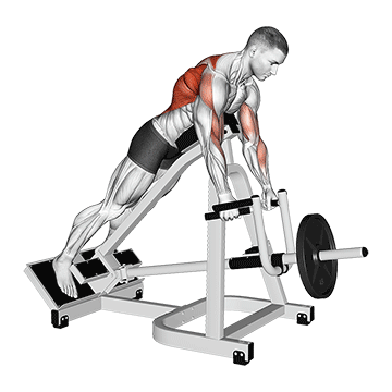 Neutral Grip T-Bar Row demonstration