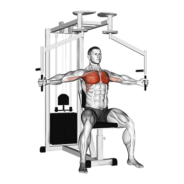 Pec Deck Machine demonstration