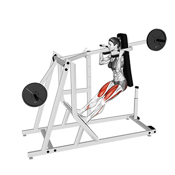 Pendulum Squat demonstration